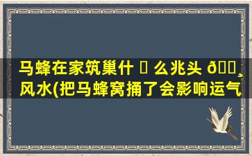 马蜂在家筑巢什 ☘ 么兆头 🕸 风水(把马蜂窝捅了会影响运气吗)